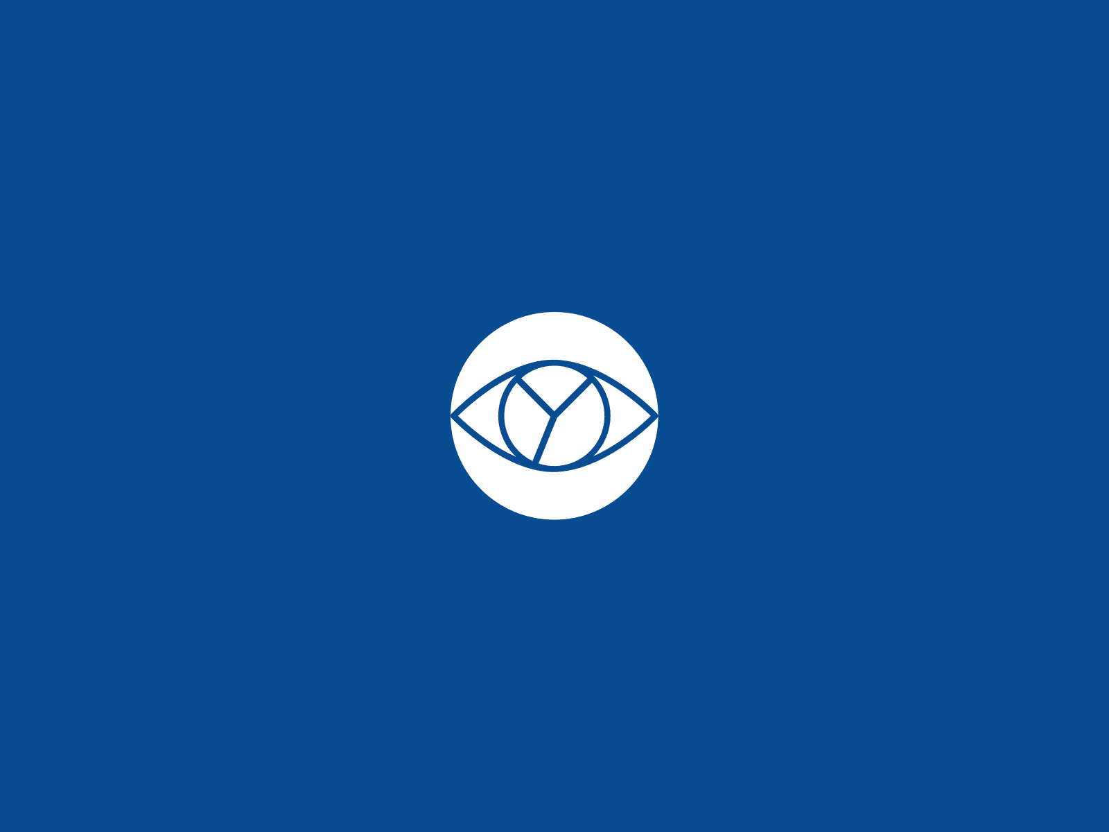 2Project Sponsor Programme