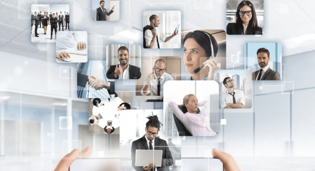 Successful Project Manager I: Defining One’s Role in a Company