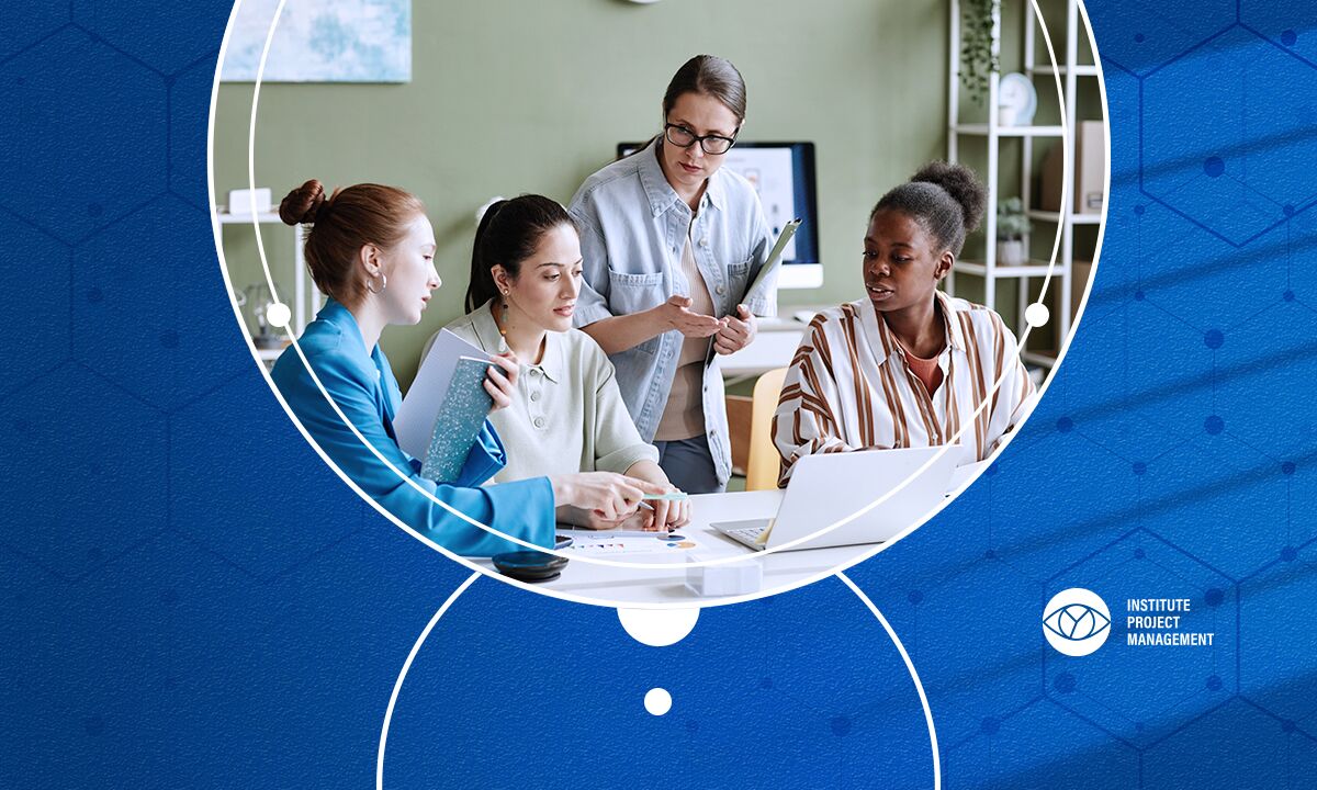 What is Project Portfolio Management (PPM)?