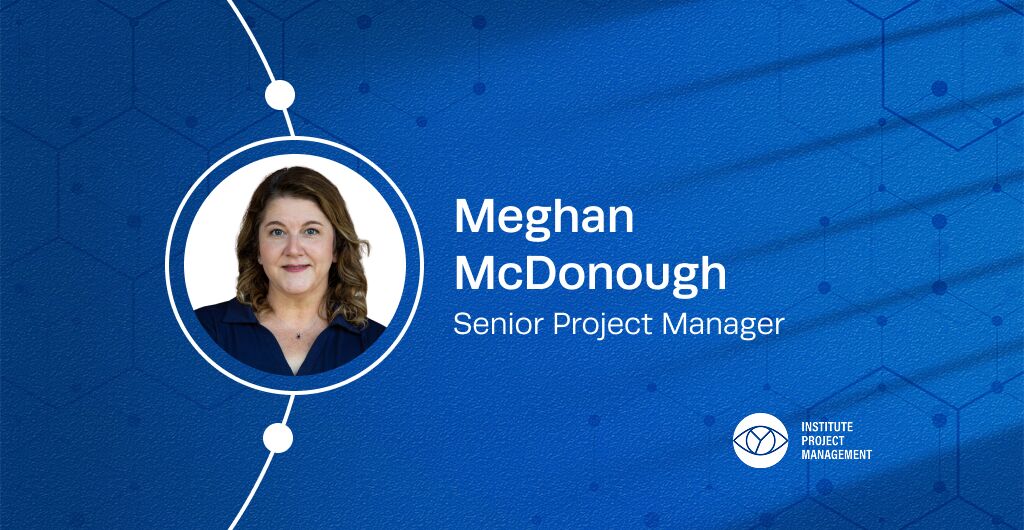 Operational Excellence Through the Lens of Project Management 