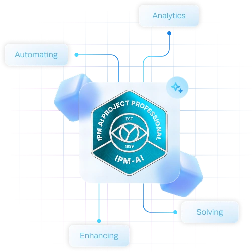 01 - IPM AI